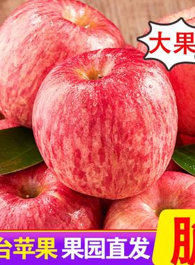 正宗山东烟台栖霞红富士苹果脆甜水果新鲜当季整箱10斤一级平安果