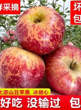 2022大凉山盐源丑苹果冰糖心红富士大果时令新鲜水果平果10斤