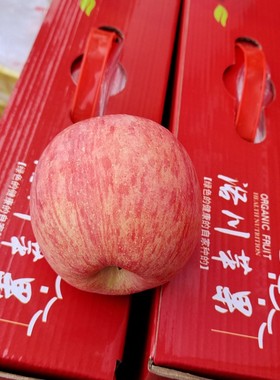正宗陕西省延安黄陵85至95特大红富士条纹红苹果手提12颗10斤包邮