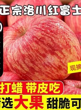 陕西红富士苹果10斤新鲜水果苹果脆甜冰糖心丑苹果整箱5斤时