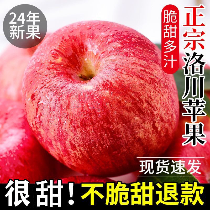 陕西洛川红富士苹果一级商品新鲜应季水果10斤装脆甜多汁精品包邮