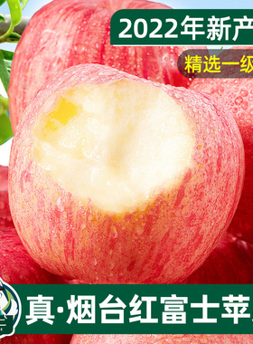 烟台红富士苹果10斤水果新鲜当季栖霞萍果冰糖心丑平果整箱平安果