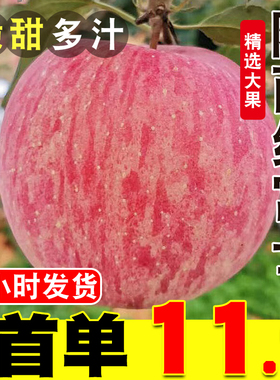 陕西红富士苹果10斤正宗新鲜当季水果整箱冰糖心嘎啦平果特级包邮