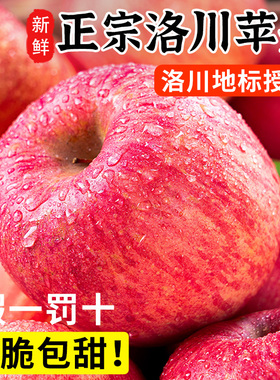 正宗陕西洛川苹果水果新鲜当季整箱现摘红富士冰糖心10官方旗舰斤