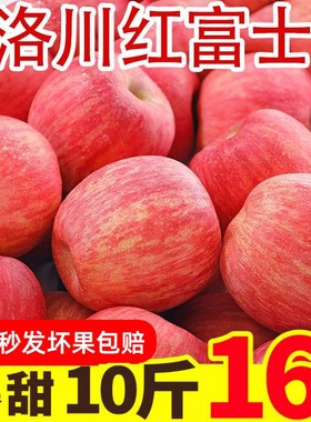 正宗陕西洛川红富士苹果新鲜10斤当季水果整箱冰糖心一级脆甜大果