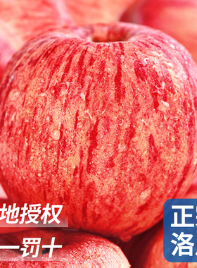 陕西洛川苹果正宗新鲜水果当季红富士冰糖心一级平果10斤整箱包邮