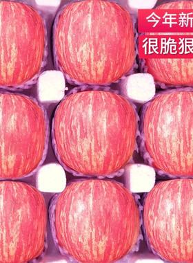 正宗陕西洛川苹果水果新鲜10斤当季整箱红富士脆甜大现摘现发包邮