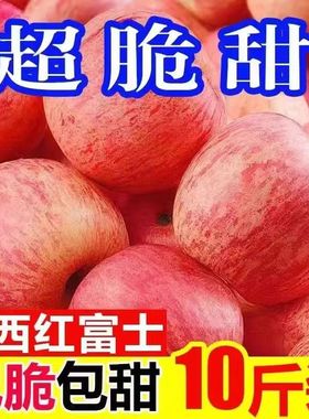 【冰糖心】新鲜红富士苹果脆甜丑苹果现摘新鲜苹果水果5/10斤包邮