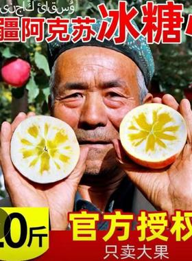 【顺丰包邮】新疆阿克苏冰糖心丑苹果脆甜红富士应季水果5/10斤