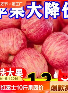 山东红富士苹果10斤当季新鲜水果整箱栖霞脆甜冰糖心丑苹果大果