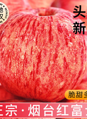 正宗山东烟台栖霞红富士苹果当季新鲜水果整箱10斤特级大丑冰糖心
