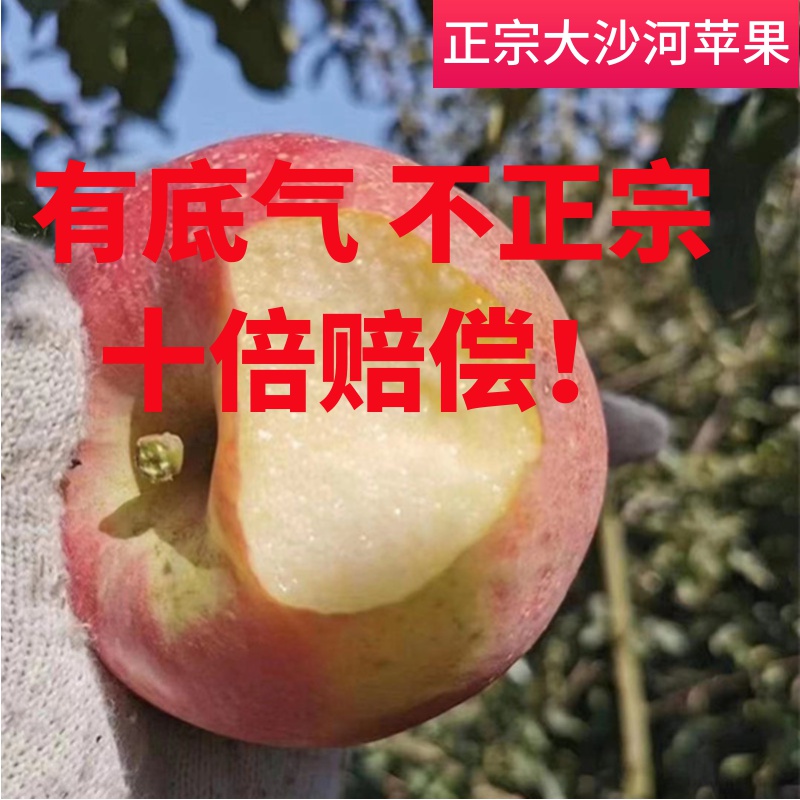 新鲜水果野生丑苹果现摘脆甜徐州丰县大沙河红富士小萍果10斤