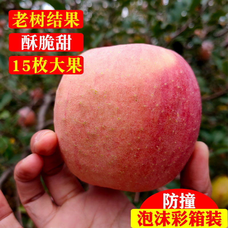 临猗膜袋苹果新鲜水果山西运城红富士丑酥脆甜农家果园吃的10斤箱
