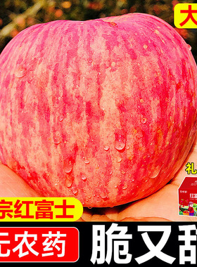 山东烟台红富士苹果水果10斤装当季整箱包邮新鲜栖霞冰糖心苹果