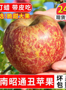 正宗云南昭通丑苹果新鲜水果当季整箱包邮10斤冰糖心红富士大苹果