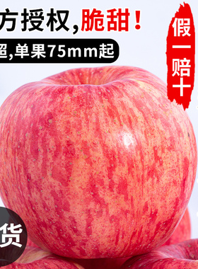 斤季栖霞苹果山东10应当新鲜红富士整箱水果烟台一级甜正宗