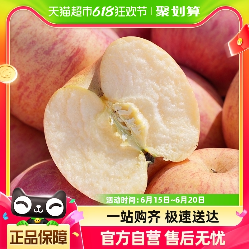 山东烟台红富士苹果丑苹果冰糖心苹果10斤装新鲜水果脆甜红富士