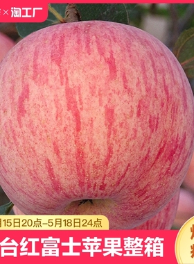 烟台红富士苹果水果10斤当季整箱正宗山东栖霞新鲜苹果包邮入口