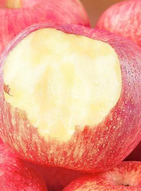 正宗陕西洛川红富士苹果10斤新鲜水果当季整箱脆甜大果一级冰糖心
