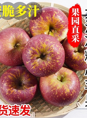 正宗冰糖心苹果新鲜当季整箱水果9斤孕妇红富士丑苹果平果10鲜果