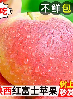 陕西红富士苹果新鲜9斤现摘当季水果整箱脆甜丑平果冰糖心3脆甜10