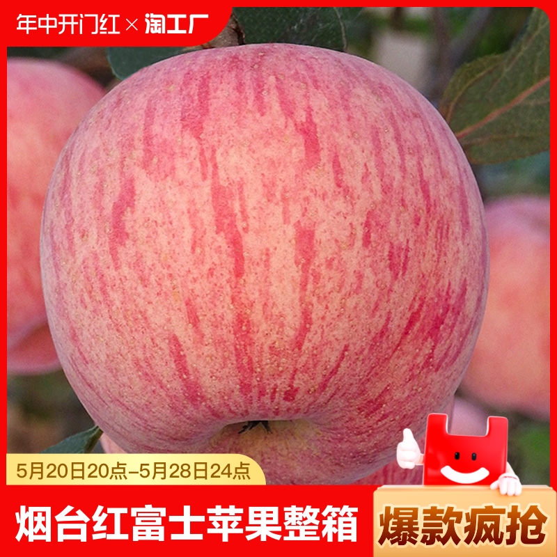 烟台红富士苹果水果10斤当季整箱正宗山东栖霞新鲜苹果包邮入口