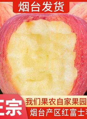 烟台红富士苹果新鲜水果当季整箱礼盒山东栖霞冰糖心丑苹果5/10斤