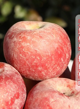 阿克苏冰糖心苹果新鲜10斤大果孕妇水果丑苹果红富士当季水果