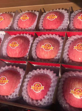 吉县壶口苹果水果10斤礼盒脆甜冰糖心精选大果新鲜红富士顺丰包邮