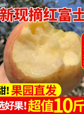 现摘红富士新鲜苹果当季水果10斤大沙河丑苹果孕妇原生态脆甜包邮