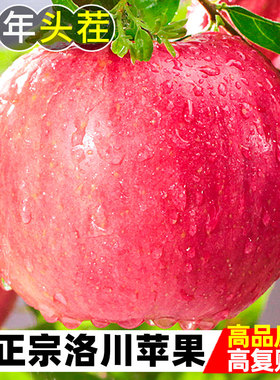 正宗陕西洛川苹果10斤新鲜水果整箱包邮当季冰糖心红富士平安果