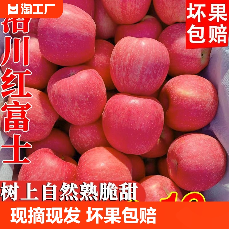 陕西洛川苹果水果新鲜10斤正宗当季红富士冰糖心整箱应季包邮产地