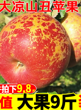 四川大凉山盐源丑苹果冰糖心9斤当季新鲜水果红富士苹果整箱非10