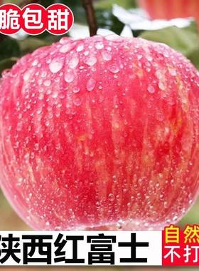 现摘当季陕西红富士苹果水果5斤冰糖心丑苹果脆甜整箱10斤特价