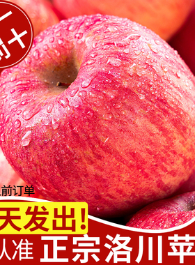陕西洛川苹果10水果新鲜当季整箱斤红富士冰糖心脆甜官方旗舰店