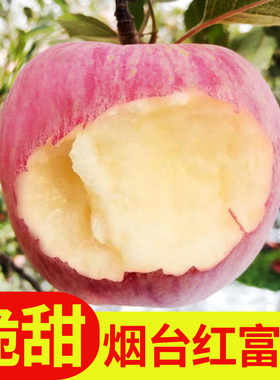 山东新鲜水果烟台 栖霞红富士脆甜苹果特产生鲜果应季5斤10斤