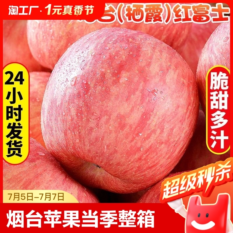 烟台红富士苹果水果10斤当季整箱正宗山东栖霞新鲜水果苹果包邮
