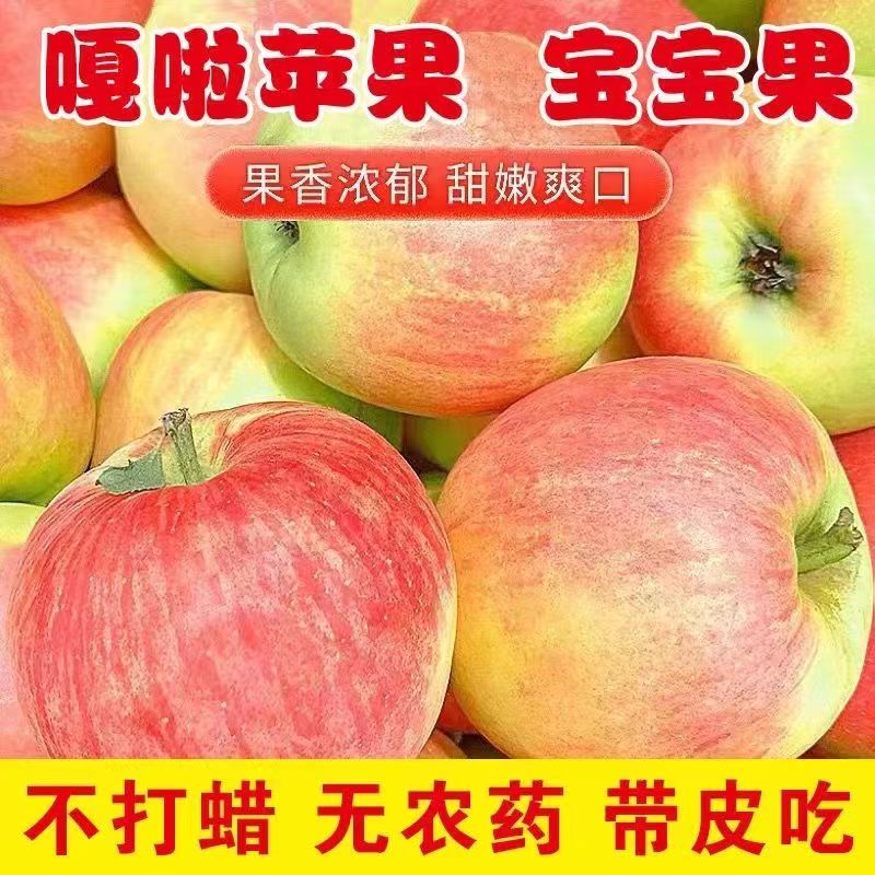 2024年新鲜现摘嘎啦苹果水果10斤丑苹果脆甜多汁新鲜苹果非红富士