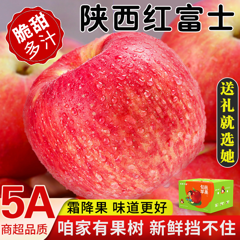 陕西正宗红富士苹果当季新鲜水果整箱礼盒装10斤包邮非洛川小苹果