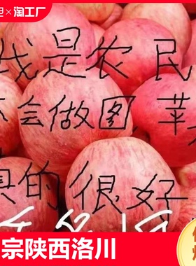 正宗陕西洛川红富士苹果冰糖心脆甜新鲜水果精选大果现摘现发10斤