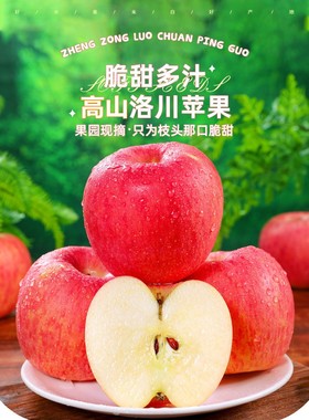 正宗陕西洛川苹果水果红富士脆清甜新鲜苹果水果10斤时令孕妇水果