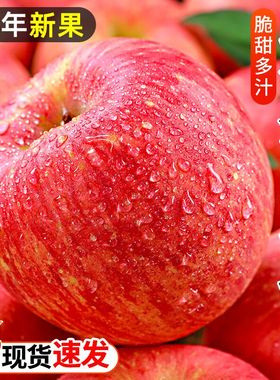 陕西洛川苹果红富士10斤新鲜时令水果当季整箱包邮甜冰糖心萍果丑