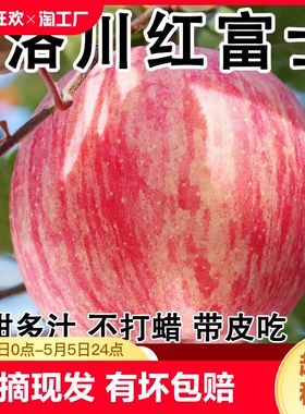 正宗洛川红富士苹果冰糖心脆甜新鲜水果现摘现发整箱10斤产地尝鲜