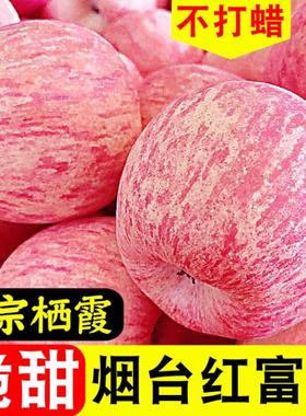 山西红富士苹果10斤新鲜水果应当季整箱包邮脆甜冰糖心丑平果