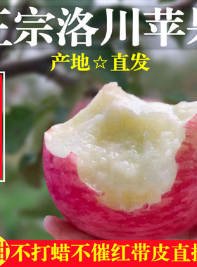 陕西洛川正宗红富士苹果新鲜糖心水果当季整箱特级脆甜10斤装