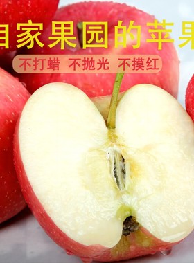 陕西延安洛川苹果脆甜红富士应季新鲜水果一整箱脆甜多汁5斤10斤