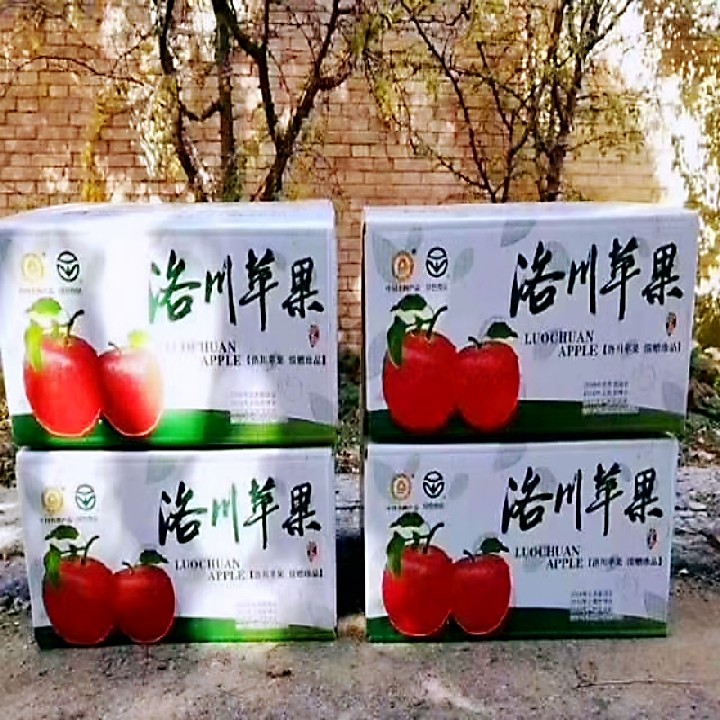正宗陕西洛川苹果新鲜水果10斤红富士整箱特级超甜80大果24枚包邮