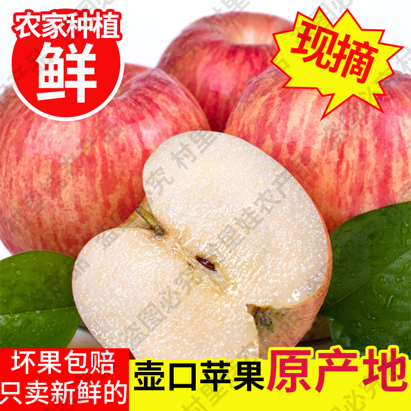 壶口瀑布吉县苹果红富士苹果脆甜多汁新鲜应季水果75#10斤装