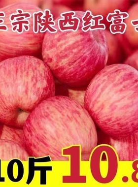 陕西正宗洛川红富士苹果10斤新鲜水果脆甜当季甜整箱应季