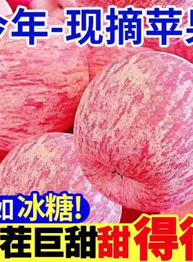 陕西洛川苹果水果正宗新鲜当季整箱红富士冰糖心一级脆甜10斤包邮